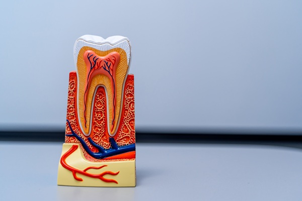 The Root Canal Process From A To Z